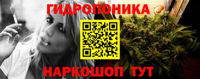 скорость Лесосибирск