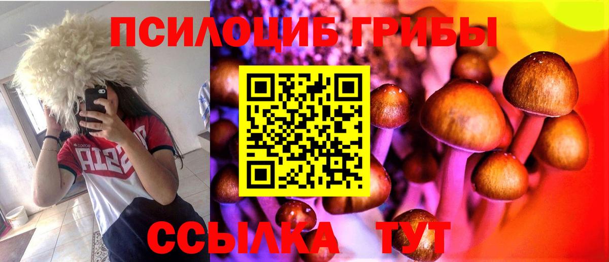 Псилоцибиновые грибы Cubensis  Вход с VPN  Урус-Мартан 