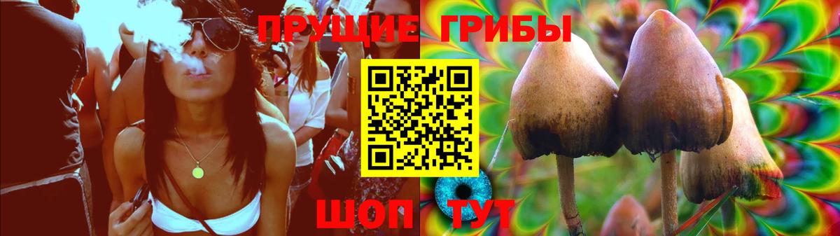 Галлюциногенные грибы Magic Shrooms Урус-Мартан